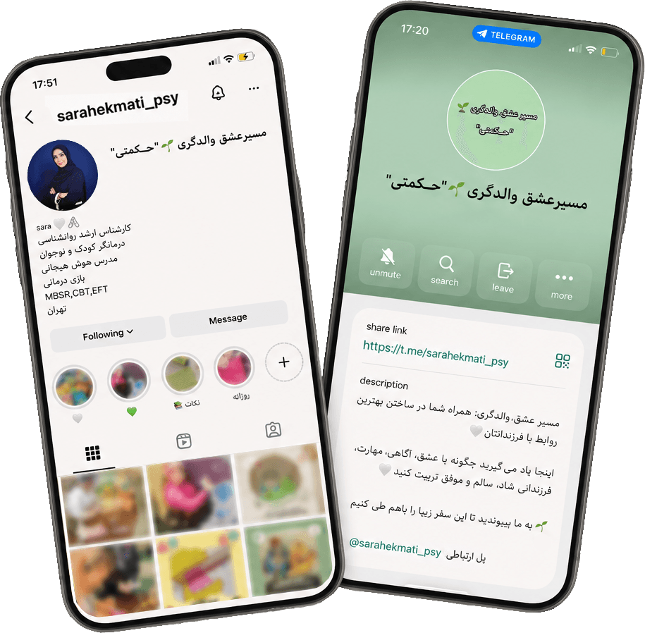 نمایش صفحات اینستاگرام و تلگرام سارا حکمتی روی تلفن همراه